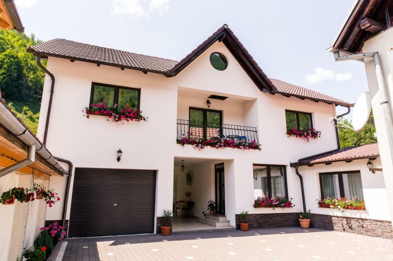Vila Rodica Transalpina Sugag Luaran gambar