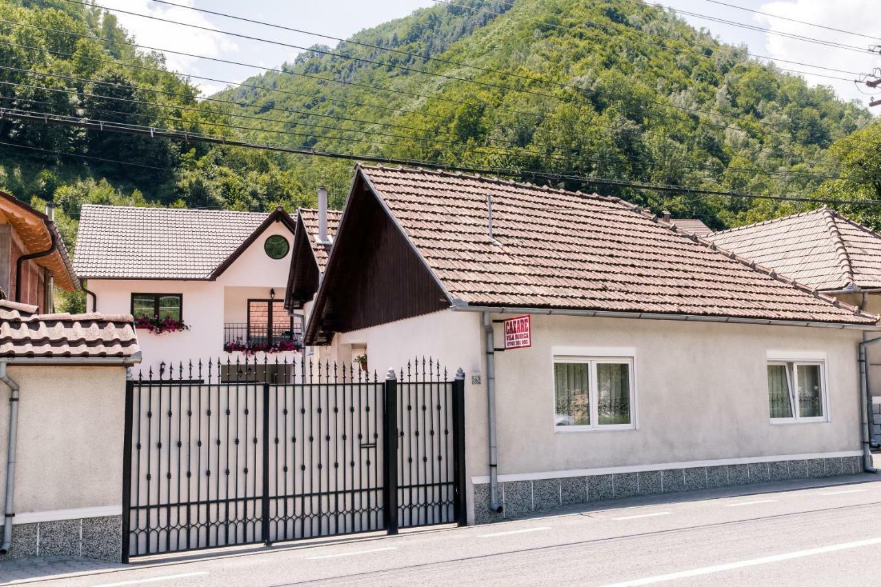 Vila Rodica Transalpina Sugag Luaran gambar
