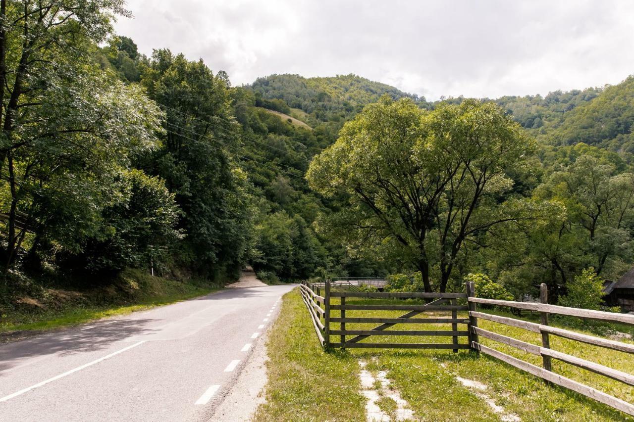 Vila Rodica Transalpina Sugag Luaran gambar